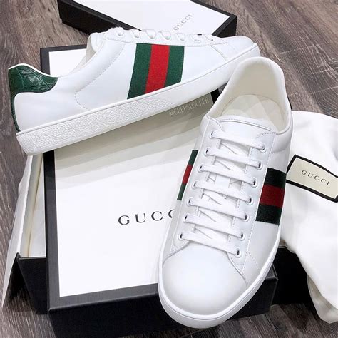 zapatills gucci|zapatillas Gucci hombre.